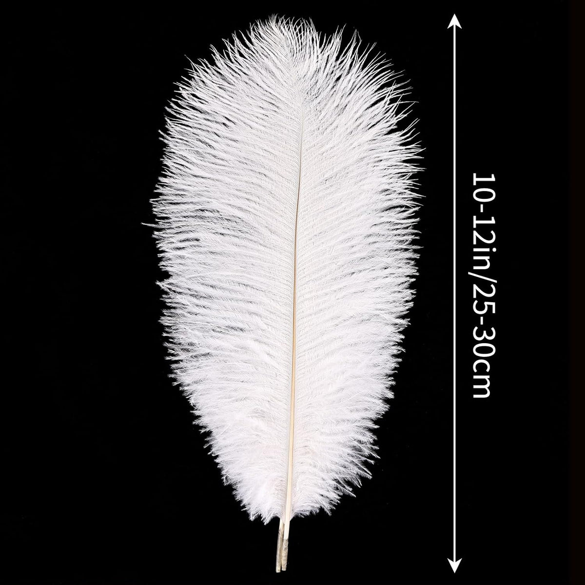 THARAHT White Ostrich Feathers 24pcs Natural Bulk 10-12Inch 25cm-30cm for Crafts Wedding Party