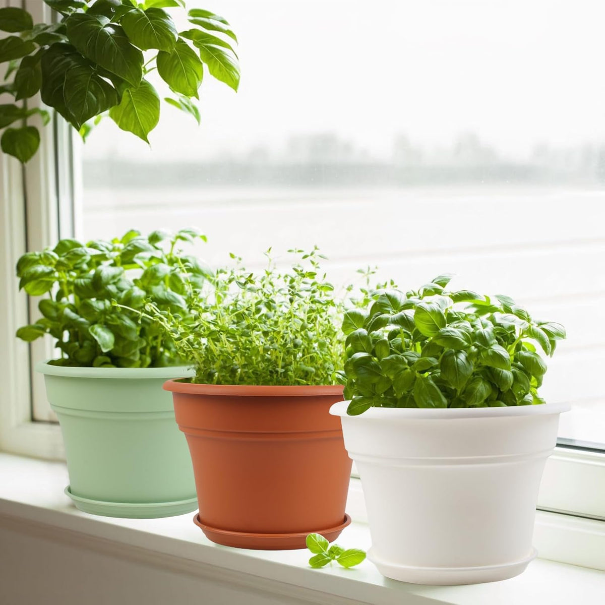 8 Inch Plastic-Flower Pot-for-Indoor Plants, 4 Pack Large Outdoor Planter Pot with Drainage Holes &