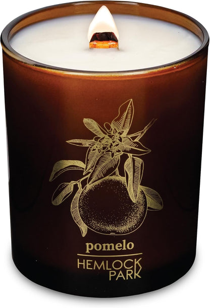 Hemlock Park Wood Wick Candle Handcrafted with Natural Coconut Wax and Essential Oils (Amber & Gold