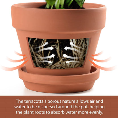 INGOFIN Terracotta Pots Set with Saucer - 2-Pack Ceramic Clay Planters with Drainage Hole, Garden