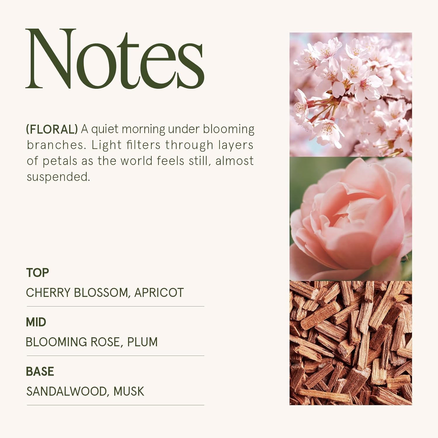 LA JOLIE MUSE Cherry Sakura Candle - Cherry Blossom, Rose, Sandalwood | 6 oz Natural Soy Wax | 40