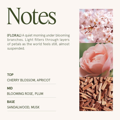 LA JOLIE MUSE Cherry Sakura Candle - Cherry Blossom, Rose, Sandalwood | 6 oz Natural Soy Wax | 40