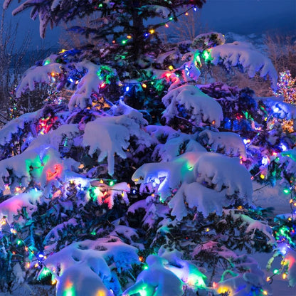 Solar Christmas Tree Lights Outdoor Solar Christmas Lights for Christmas Decorations, 100 LED C6