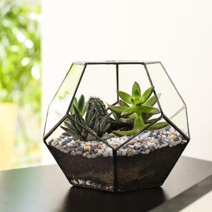 5 lbs Small Rocks for Plants, 1/5 Inch Pebbles for Indoor Plants, Natural Decorative Pea Gravel for