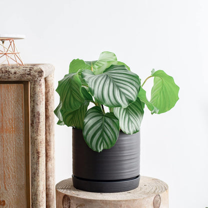 8 Inch Pots for Plants, Ceramic Planter Pot with Drainage Hole & Saucer, Indoor/Outdoor Cylinder