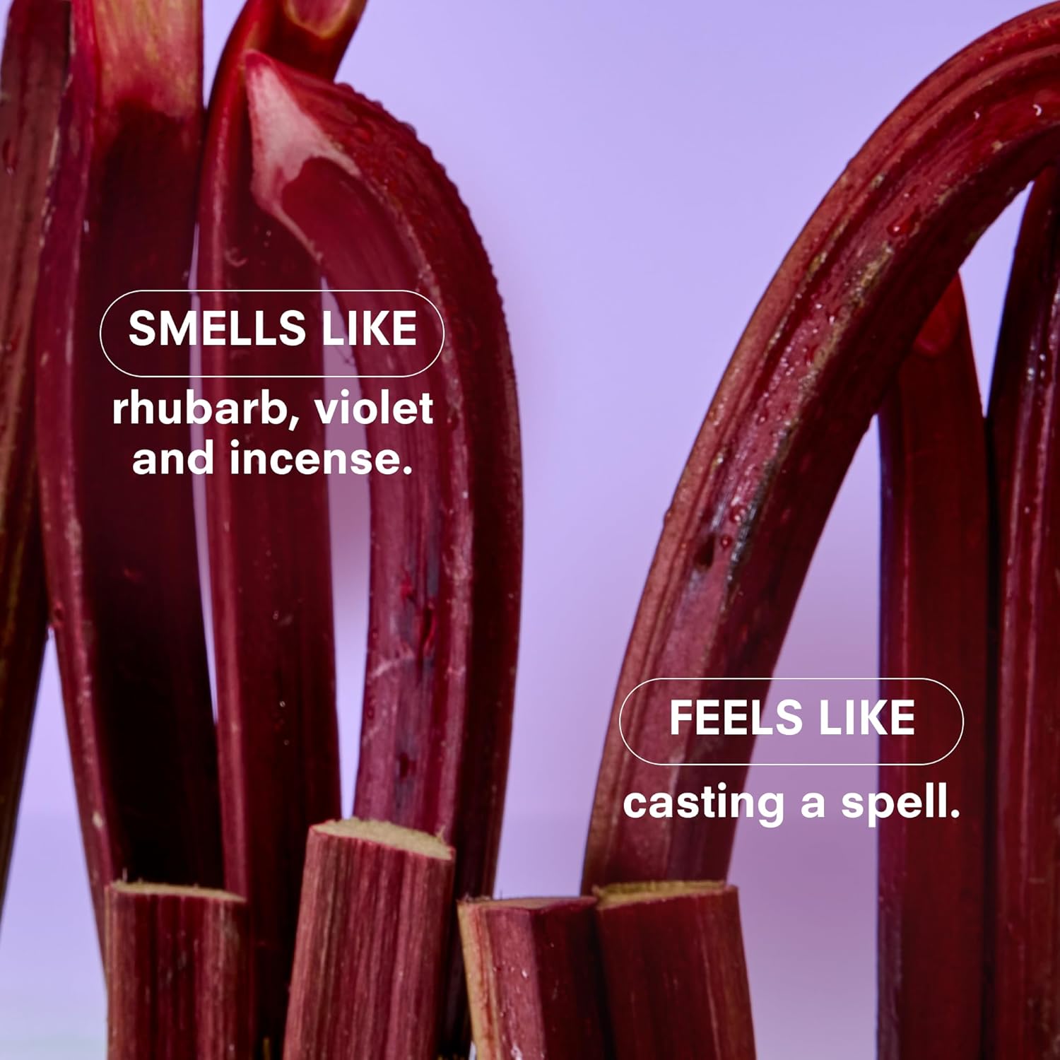 Boy Smells Violet Ends Candle - 8.5 oz - Aromatic Candle for Home with Rhubarb, Violet and Smoked