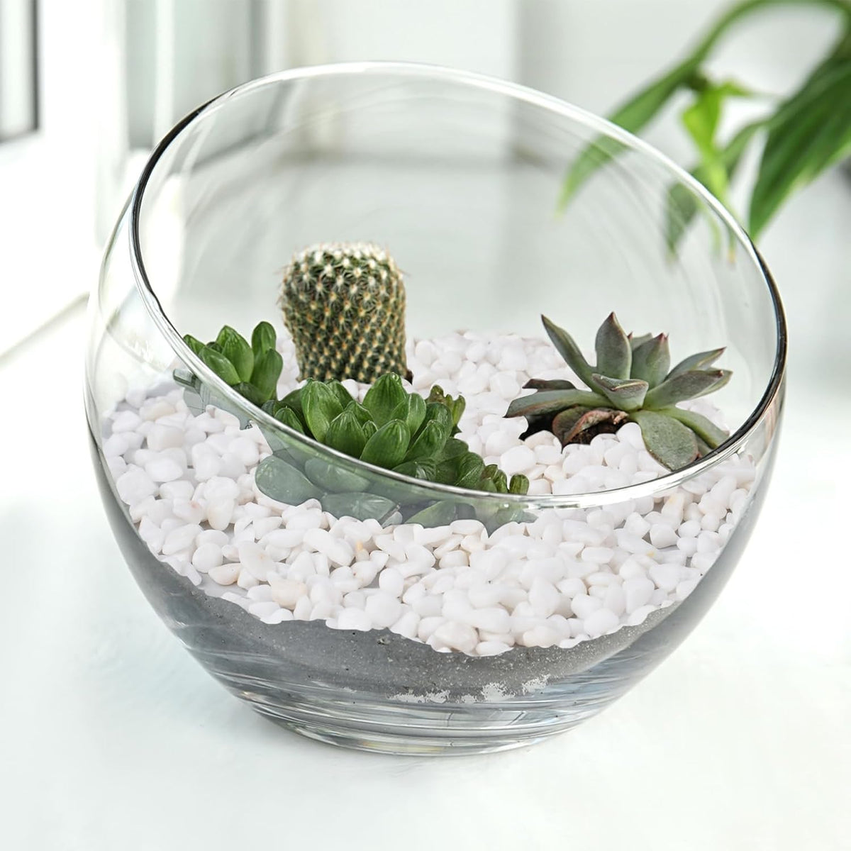 5 lbs White Aquarium Gravel, 1/5 Inch White Rocks for Plants, Small Pebbles for Vases, Succulents