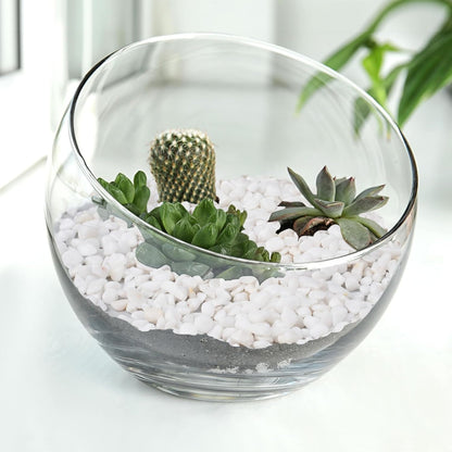 2.5 lbs White Aquarium Gravel, 1/5 Inch White Rocks for Plants, Small Pebbles for Vases