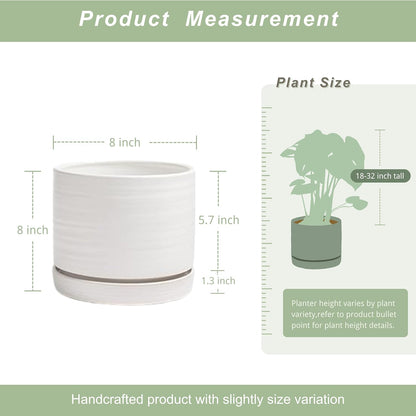 8 Inch Pots for Plants, Ceramic Planter Pot with Drainage Hole & Saucer, Indoor/Outdoor Cylinder