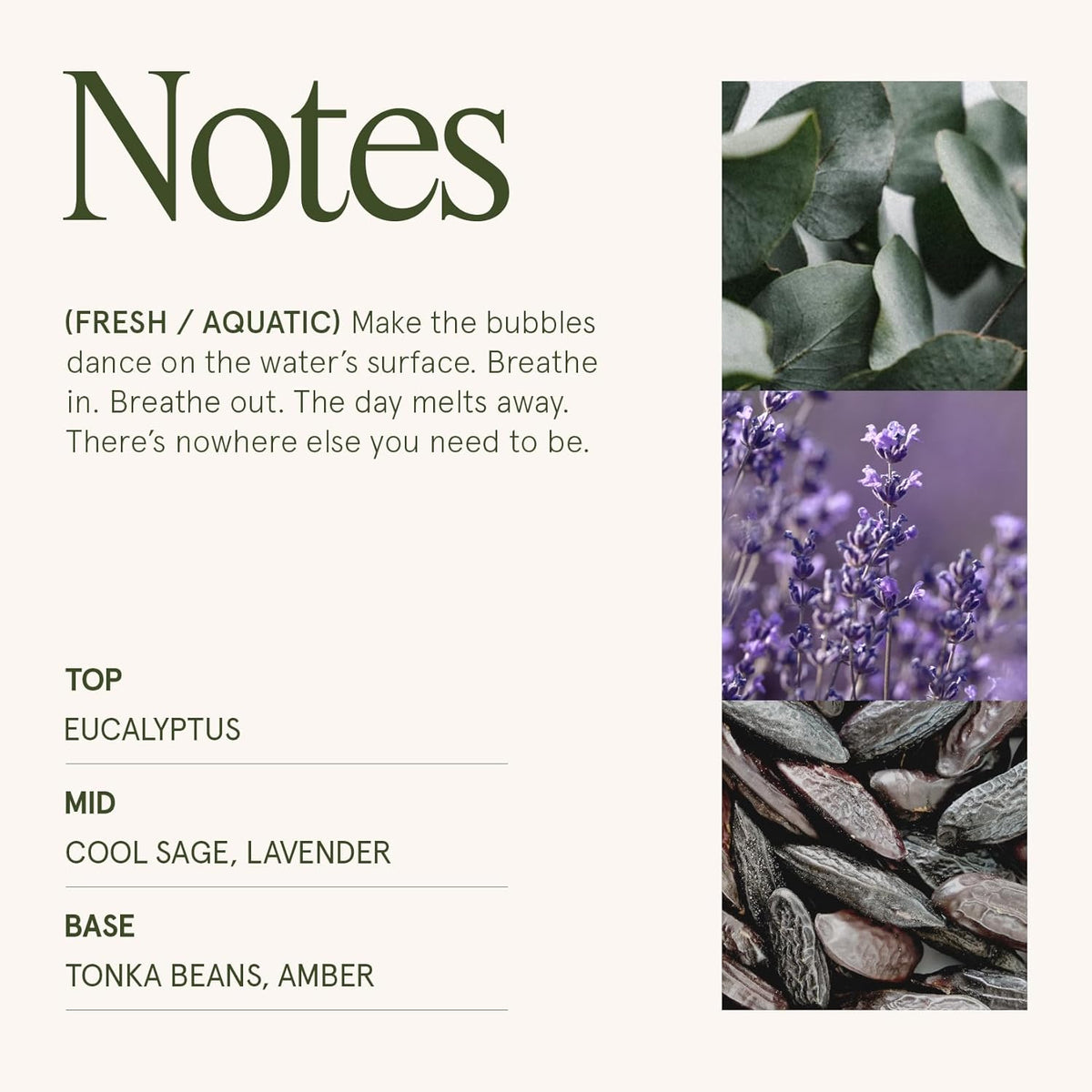 LA JOLIE MUSE Eucalyptus & Alpine Sage Candle – Eucalyptus, Sage & Lavender | 19 oz Wooden Wick |