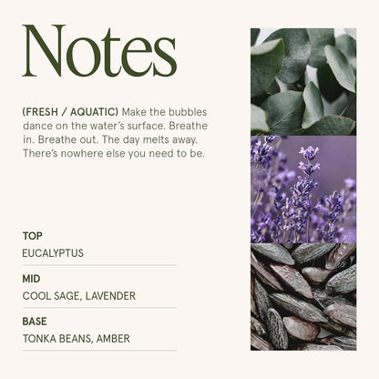 LA JOLIE MUSE Eucalyptus & Alpine Sage Candle – Eucalyptus, Sage & Lavender | 19 oz Wooden Wick |