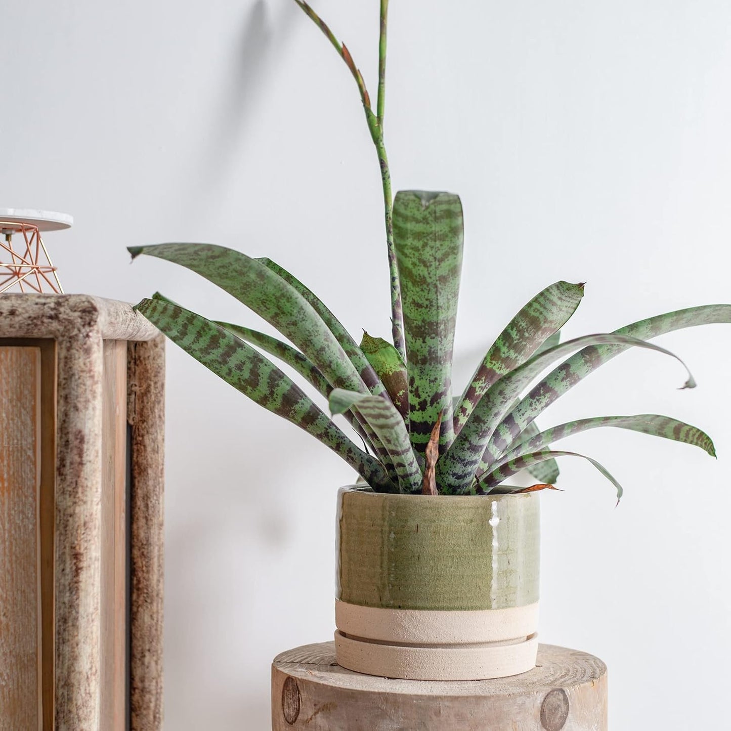 6 Inch Plant Pots, Ceramic Planter Pot with Drainage Hole & Saucer, Indoor/Outdoor Cylinder Round