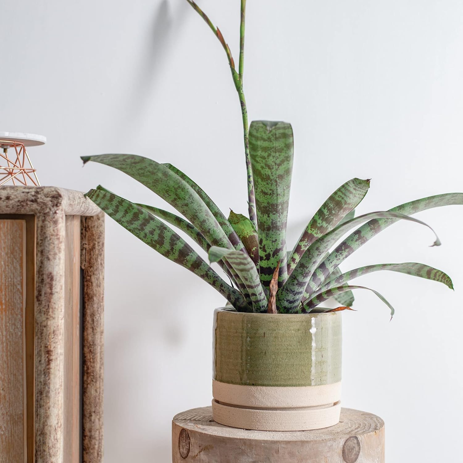 6 Inch Plant Pots, Ceramic Planter Pot with Drainage Hole & Saucer, Indoor/Outdoor Cylinder Round