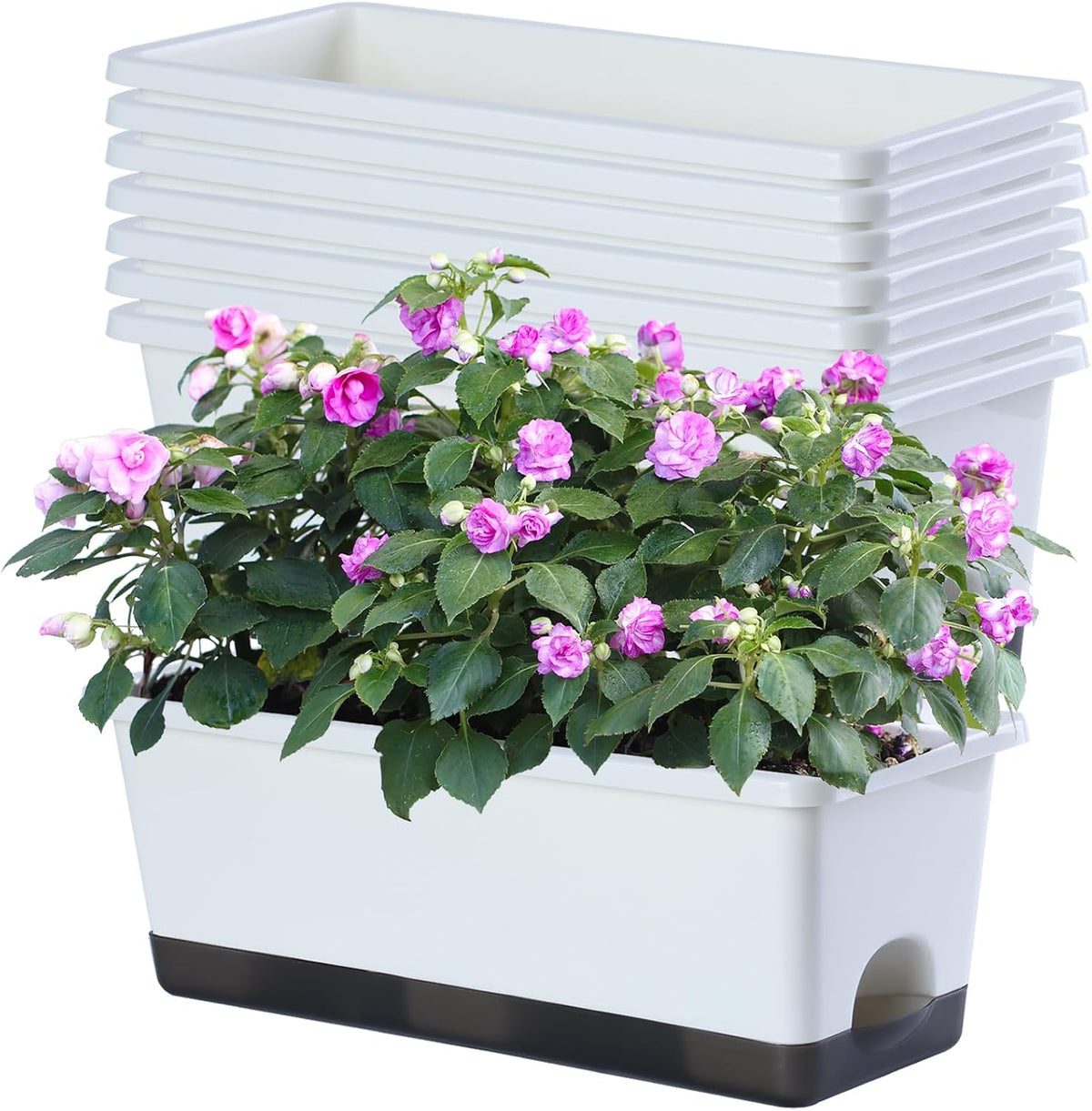 Window Box Planter 8 Pcs, 17 Inches Rectangle Flower Pots with Drainage Holes and Trays, Vegetable