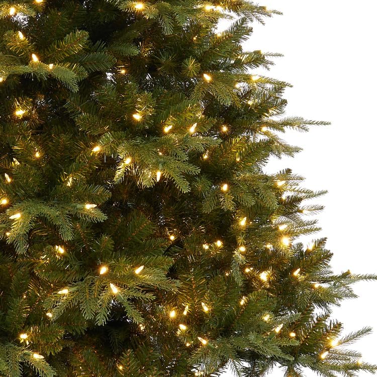 Traditional Artificial Fir Christmas Tree with Lights by Naomi Home Green/9 Ft/Included