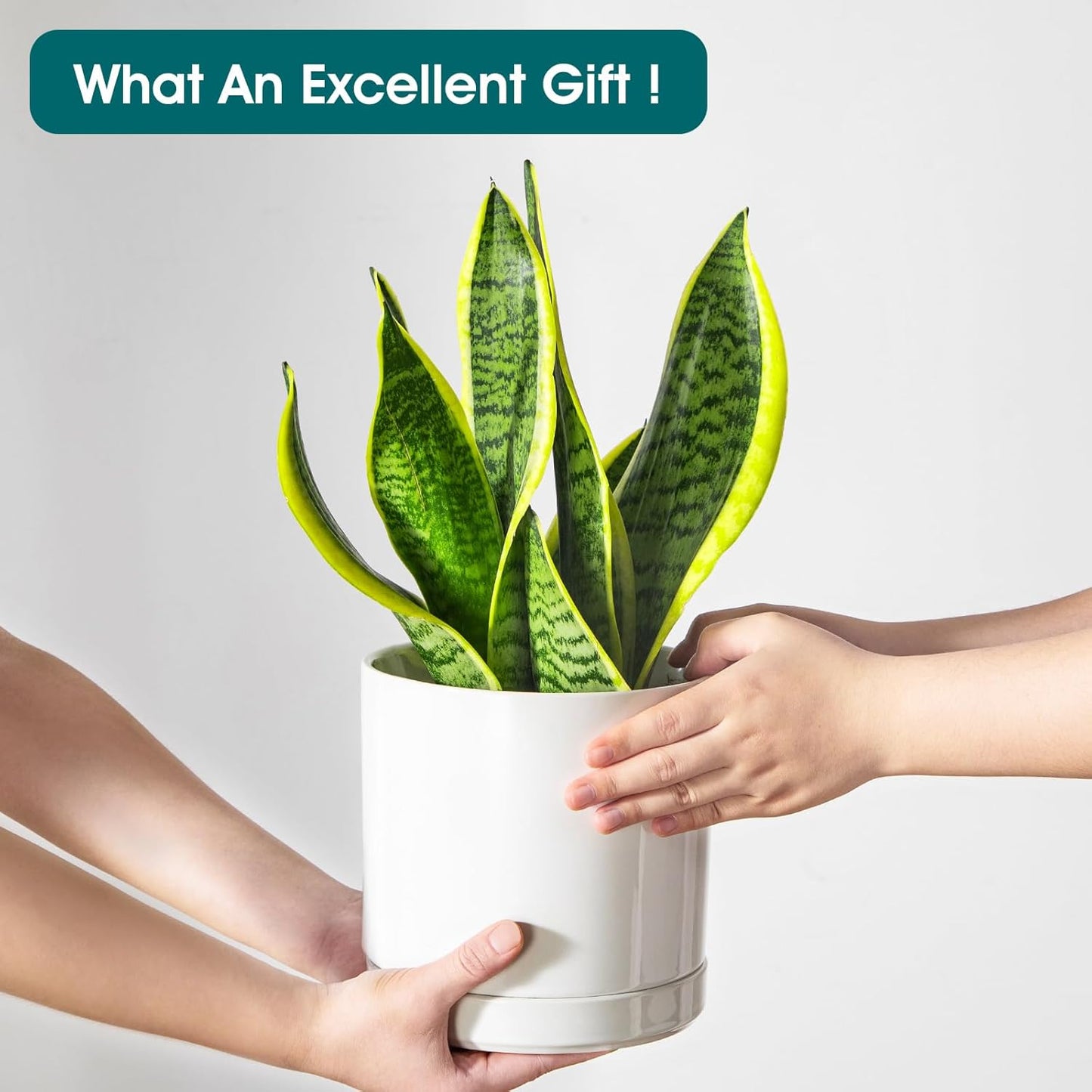 vancasso Ceramic Planters, Plant Pots for Indoor Plants, 6.25+8.25+10.25 Inch Ceramic Pots for