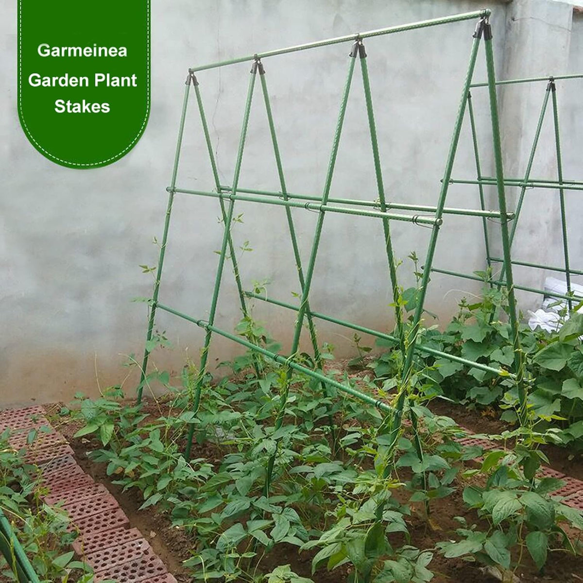 Garmeinea Garden Stakes 30 Inches Plastic Coated Steel Plant Stakes for Growing Climbing Plants