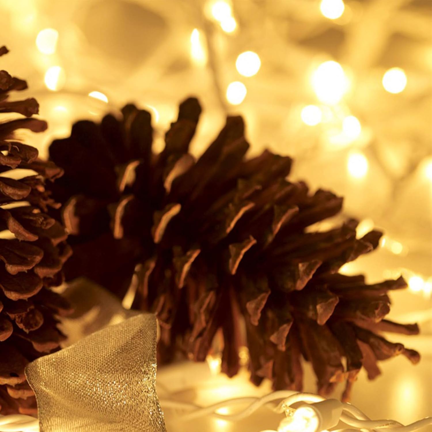 Christmas Lights 100 Count Mini Clear Lights 21ft White Wire Christmas Tree String Lights Set for