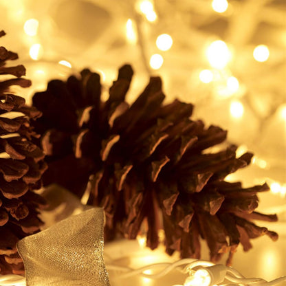 Christmas Lights 100 Count Mini Clear Lights 21ft White Wire Christmas Tree String Lights Set for