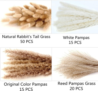 Dried Pampas Grass Decor, 100 Stems Pampas Grass Contains Bunny Tails Dried Flowers, Reed Grass