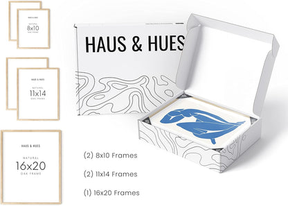 HAUS AND HUES Picture Frame Set - Set of 5 Wall Frames Collage Set, Collage Photo Frames, Natural