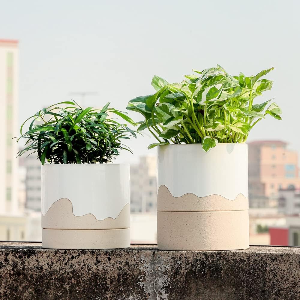 Nihow Self Watering Plant Pot: 6 Inch Ceramic Planter with Drainage Hole & Water Storage Plus for