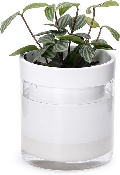 Phoenix Vine 4 Inch Self Watering Planter, White Terracotta Clay Pot with Glass Reservoir for