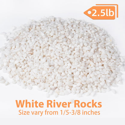 2.5 lbs White Aquarium Gravel, 1/5 Inch White Rocks for Plants, Small Pebbles for Vases