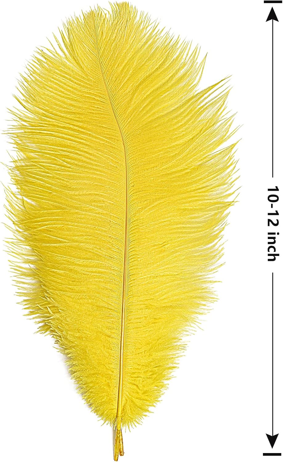 THARAHT Yellow Ostrich Feathers 24pcs Natural Bulk 10-12Inch 25cm-30cm for Crafts Wedding Party
