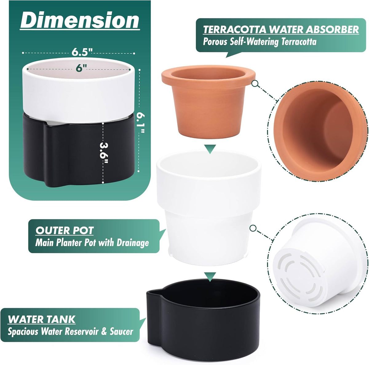 Phoenix Vine 6.5 Inch Self-Watering Planter Pot with Terracotta Insert, Deep Water Reservoir, and