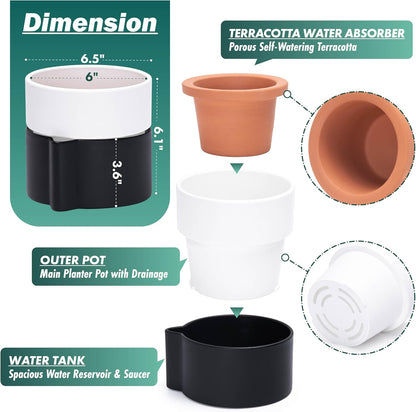 Phoenix Vine 6.5 Inch Self-Watering Planter Pot with Terracotta Insert, Deep Water Reservoir, and