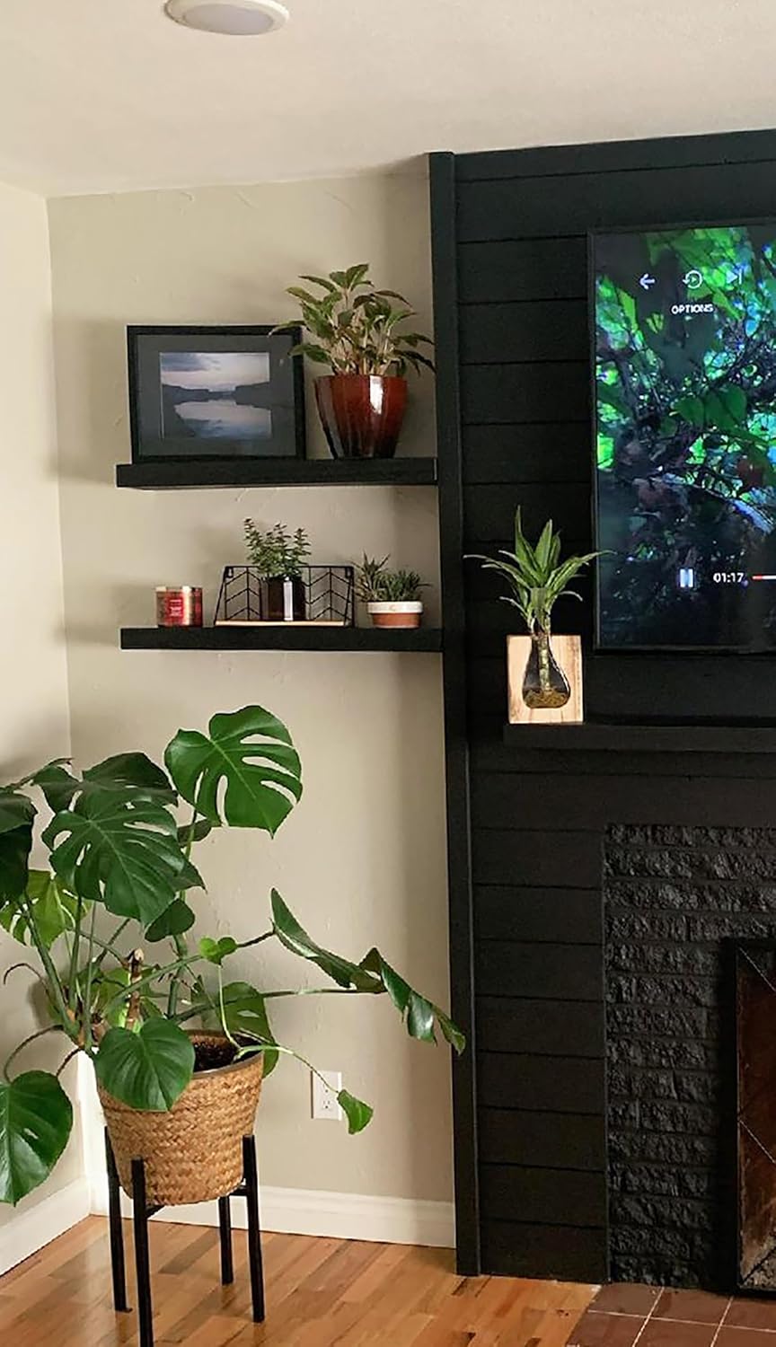 joelsantiques 24 Inch Wooden Floating Shelves for Wall - 24x6x2 in - Made of Natural Wood - Short