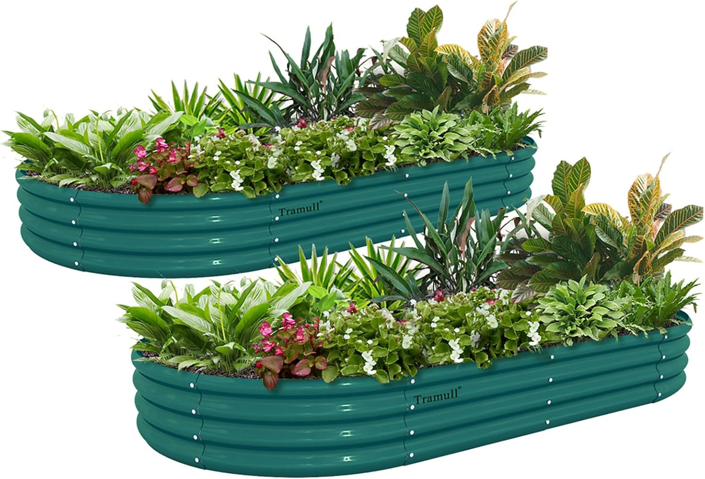 2 Pack 6x3x1FT Galvanized Raised Garden Bed Kit Oval Metal Ground Planter Box Outdoor Bottomless