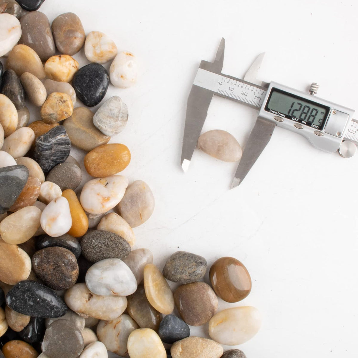 CJGQ Pebbles for Plants 7 lb Natural River Rocks for Garden Outdoor Aquariums Gravel 1-1.5 Inches
