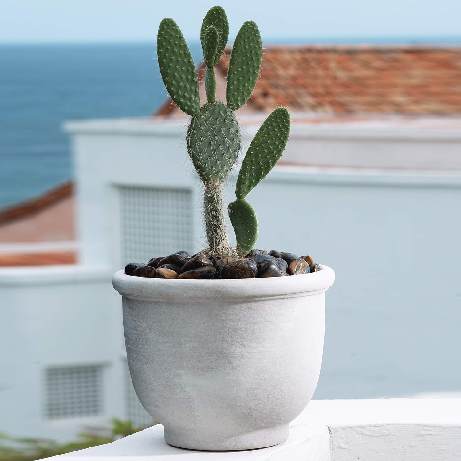 Crescent Garden Agave Planter, Charming Old-World Plant Pot, 21-Inch (Caviar Black)