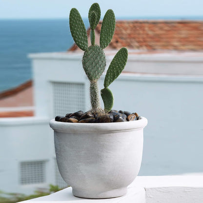Crescent Garden Agave Planter, Charming Old-World Plant Pot, 18-Inch (Caviar Black)