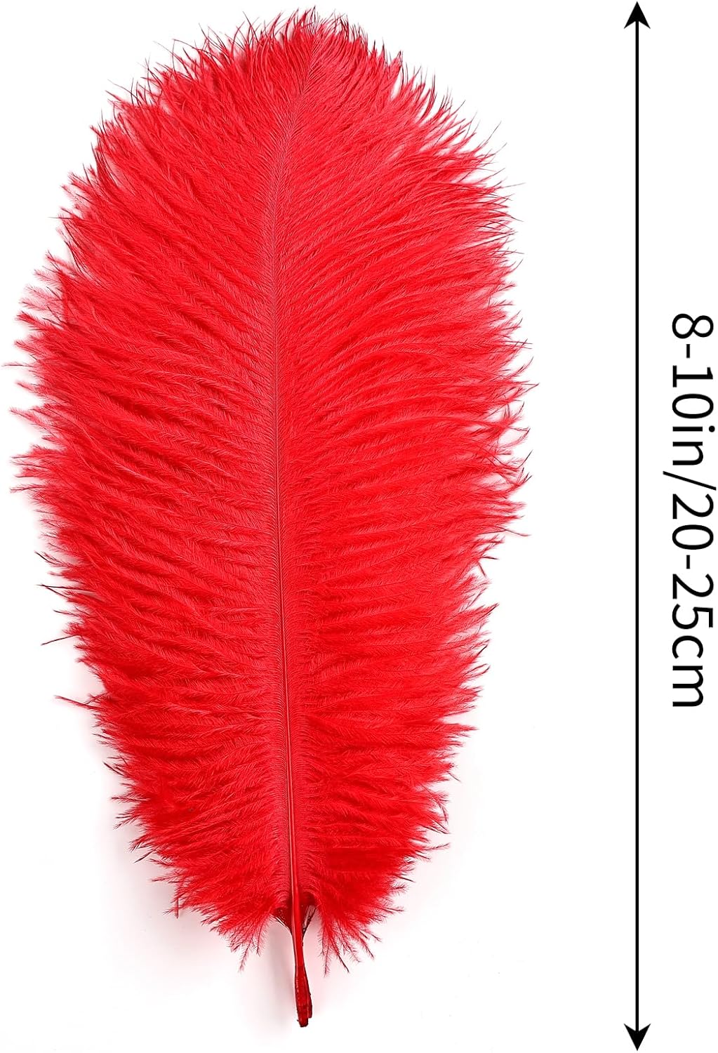 THARAHT Red Ostrich Feathers 12pcs Natural Bulk 8-10Inch 20cm-25cm for Crafts Wedding Party