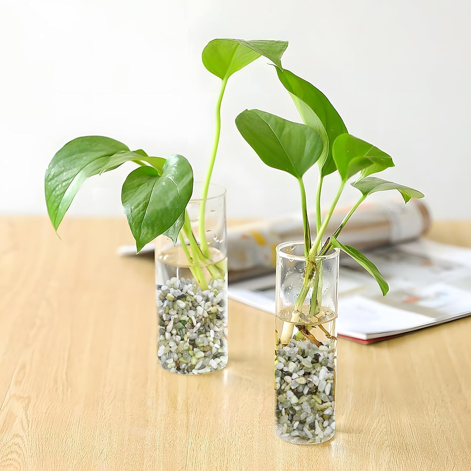 2.5LB Succulent and Cactus Pebbles, 1/5 Inch Jade Pebbles for Indoor Plants, Decorative Gravel for