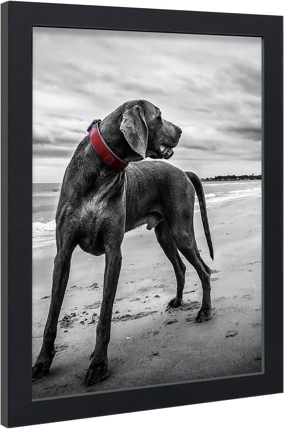 VCK 18x24 Poster Frames 3 Pack Black MDF Wood and Polished Plexiglass Frame,Display Pictures in