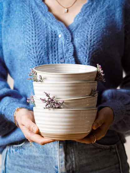 LE TAUCI Cereal Bowls Set of 4, Ceramic Soup Bowl 28 oz, Stoneware Kitchen Bowl for Pho, Chip
