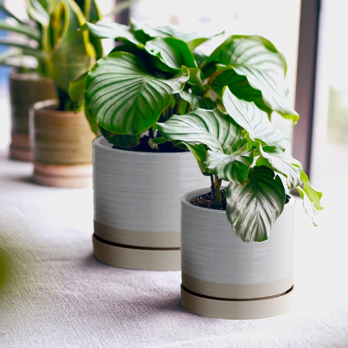 6 + 8 Inch Plant Pots, Ceramic Planter Pot with Drainage Hole & Saucer, Indoor/Outdoor Cylinder