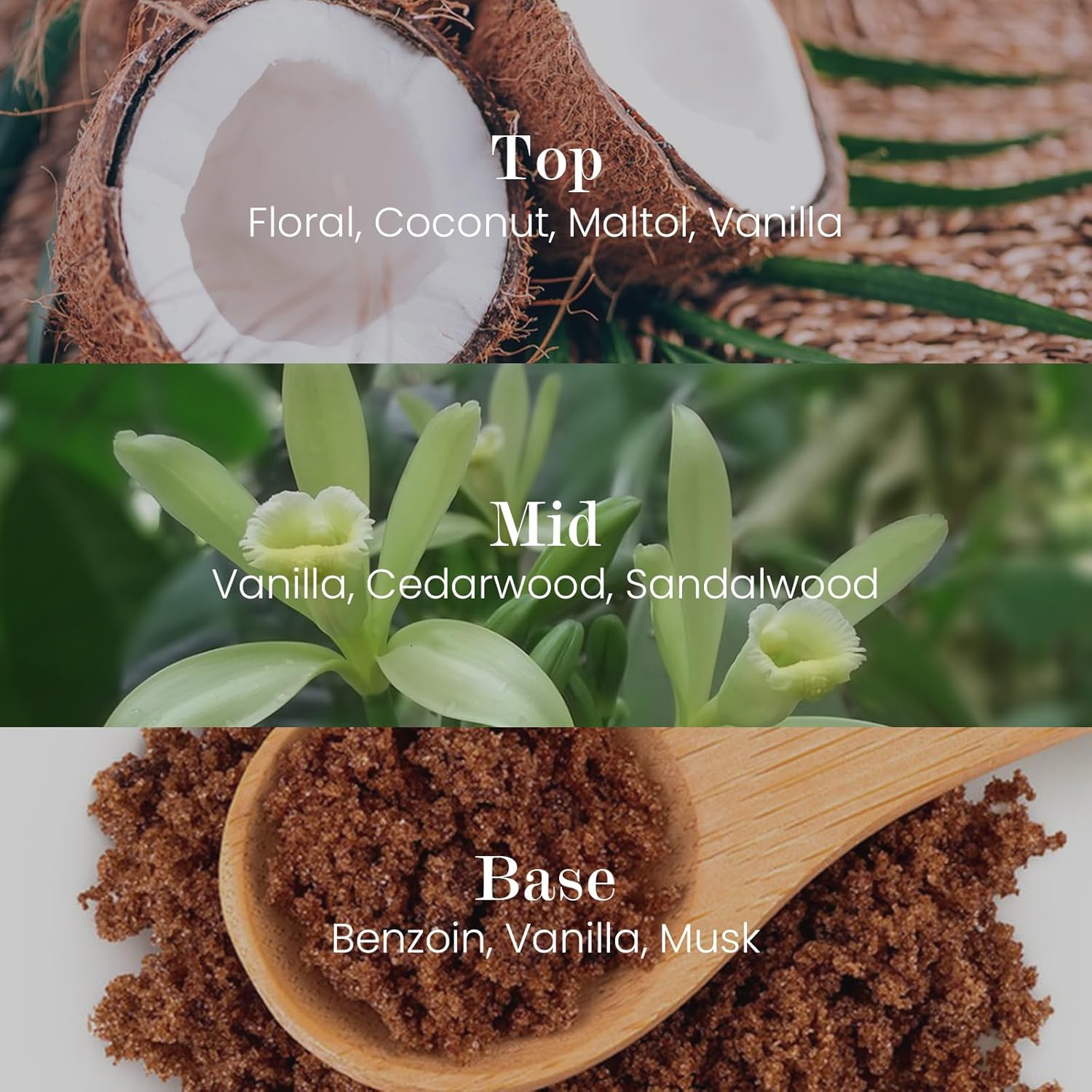 M&SENSE Natural Soy Candle| Vanilla Sandalwood | 5.3 oz | Minimalist Scented Candle for Relaxation