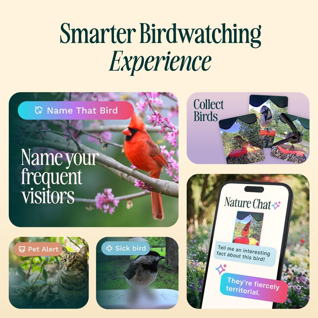 Birdbuddy PRO Solar Smart Bird Feeder with Camera - AI Bird Species Identification, 5MP Photos, 2K