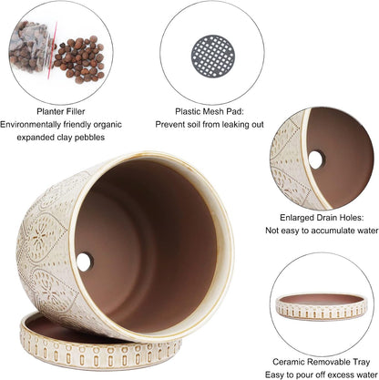 8 Inch Indoor Plant Pot with Drainage Holes and Saucers, Ceramic Planter for Plants, Succulent
