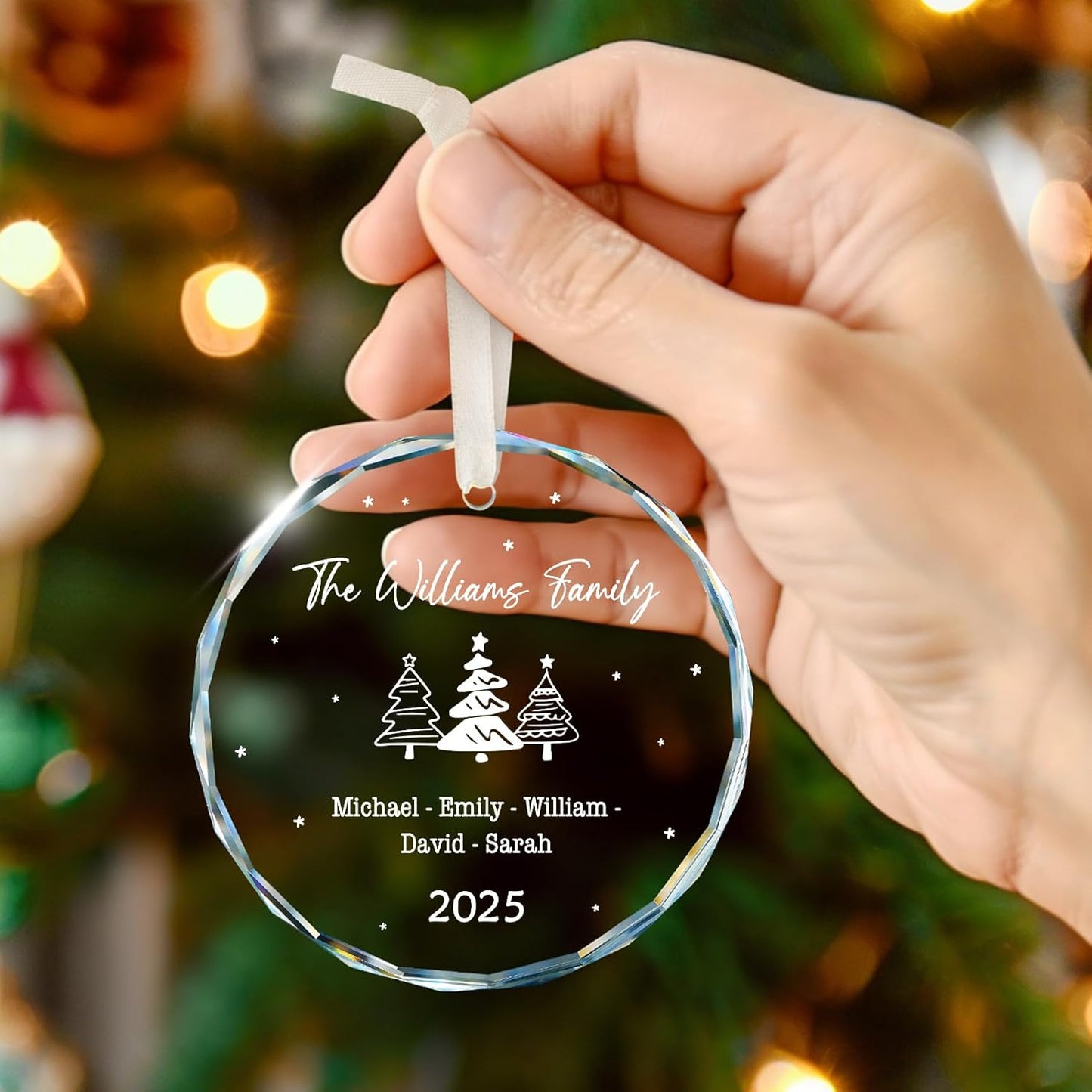 Family Christmas Ornaments 2025 Personalized, Family Ornaments with Custom Name, Tree Decorations