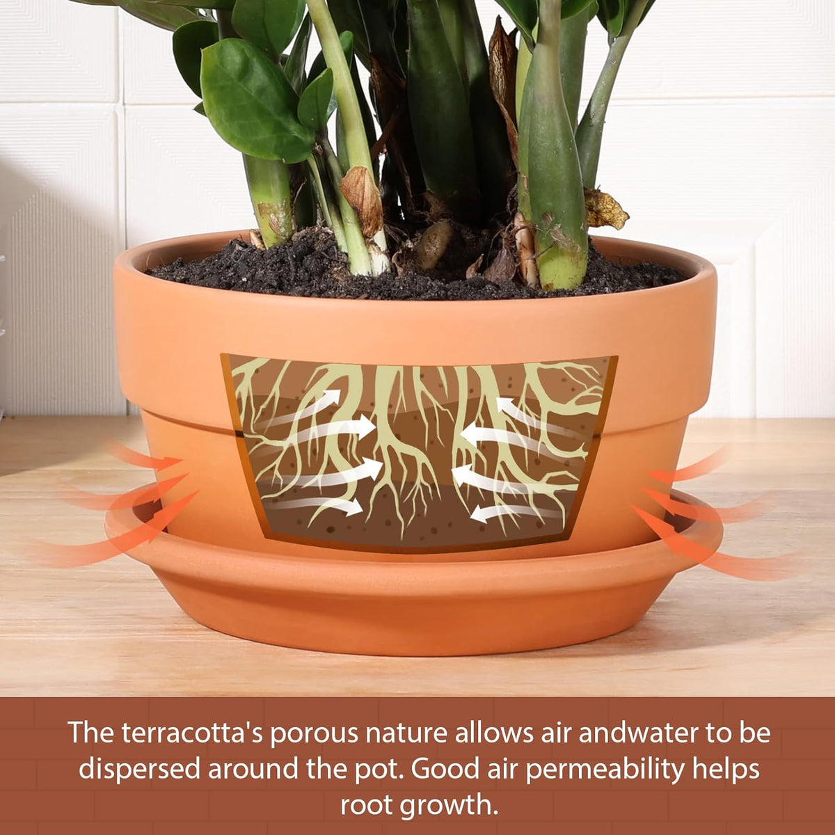 INGOFIN 8 Inch Terracotta Shallow Pots Set with Saucer - Ceramic Clay Pots with Drainage Hole