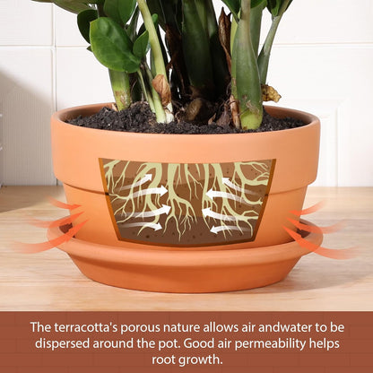 INGOFIN 8 Inch Terracotta Shallow Pots Set with Saucer - Ceramic Clay Pots with Drainage Hole