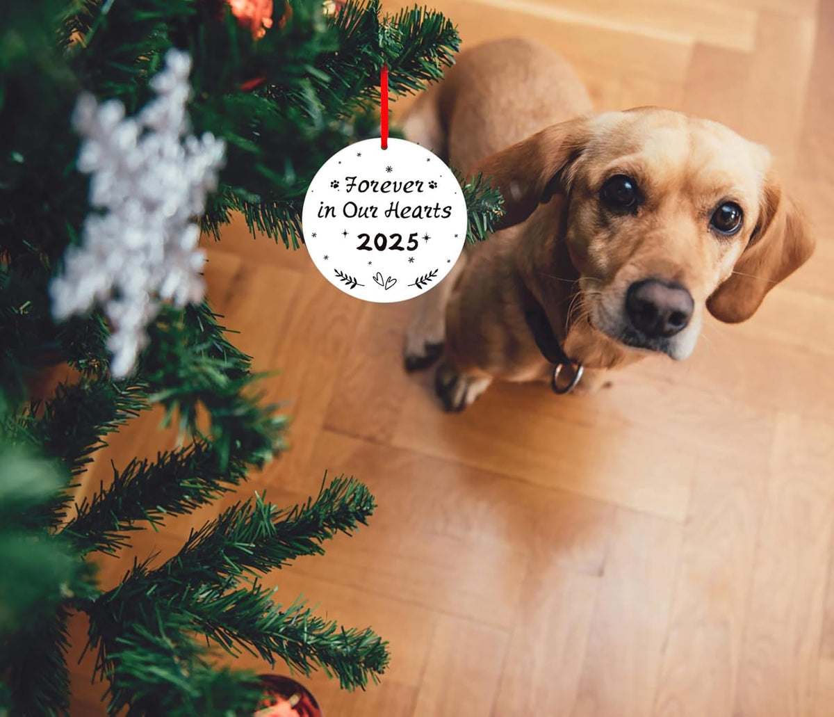WaaHome Picture Frame Dog Memorial Christmas Ornaments 2025 - Forever in Our Hearts Pet Memorial