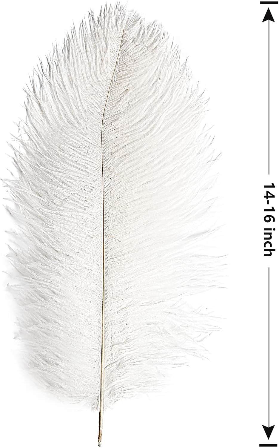 THARAHT 12pcs White Ostrich Feathers Natural Bulk 14-16Inch 35cm-40cm for Wedding Party