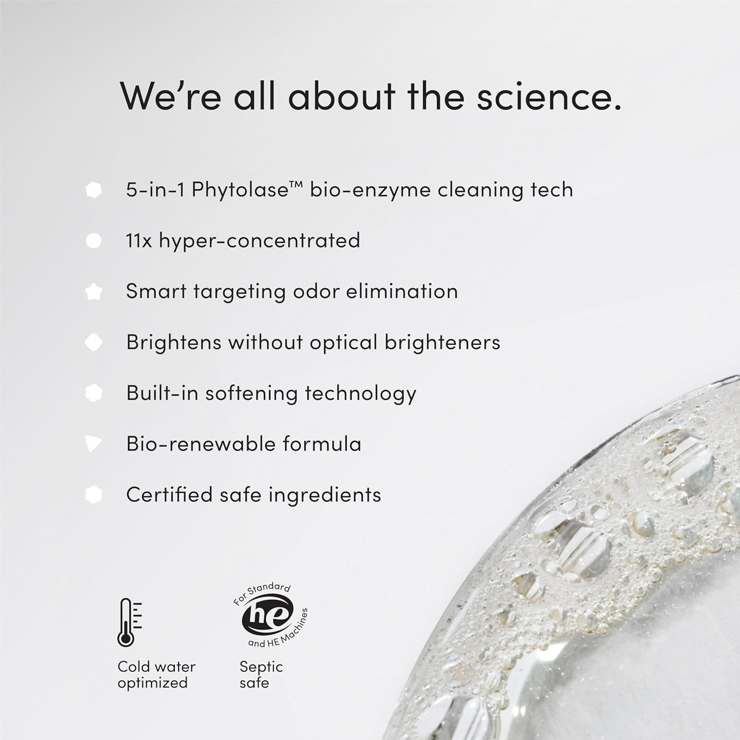 Dirty Labs | Scent Free | Bio Enzyme Liquid Laundry Detergent | 80 Loads (21.6 fl oz) |